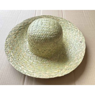 Lady's Hat SWVN 8416